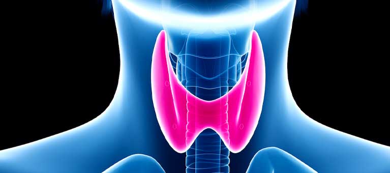 Thyroid Therapy